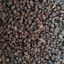 خرید و قیمت کشمش آفتابی + فروش عمده